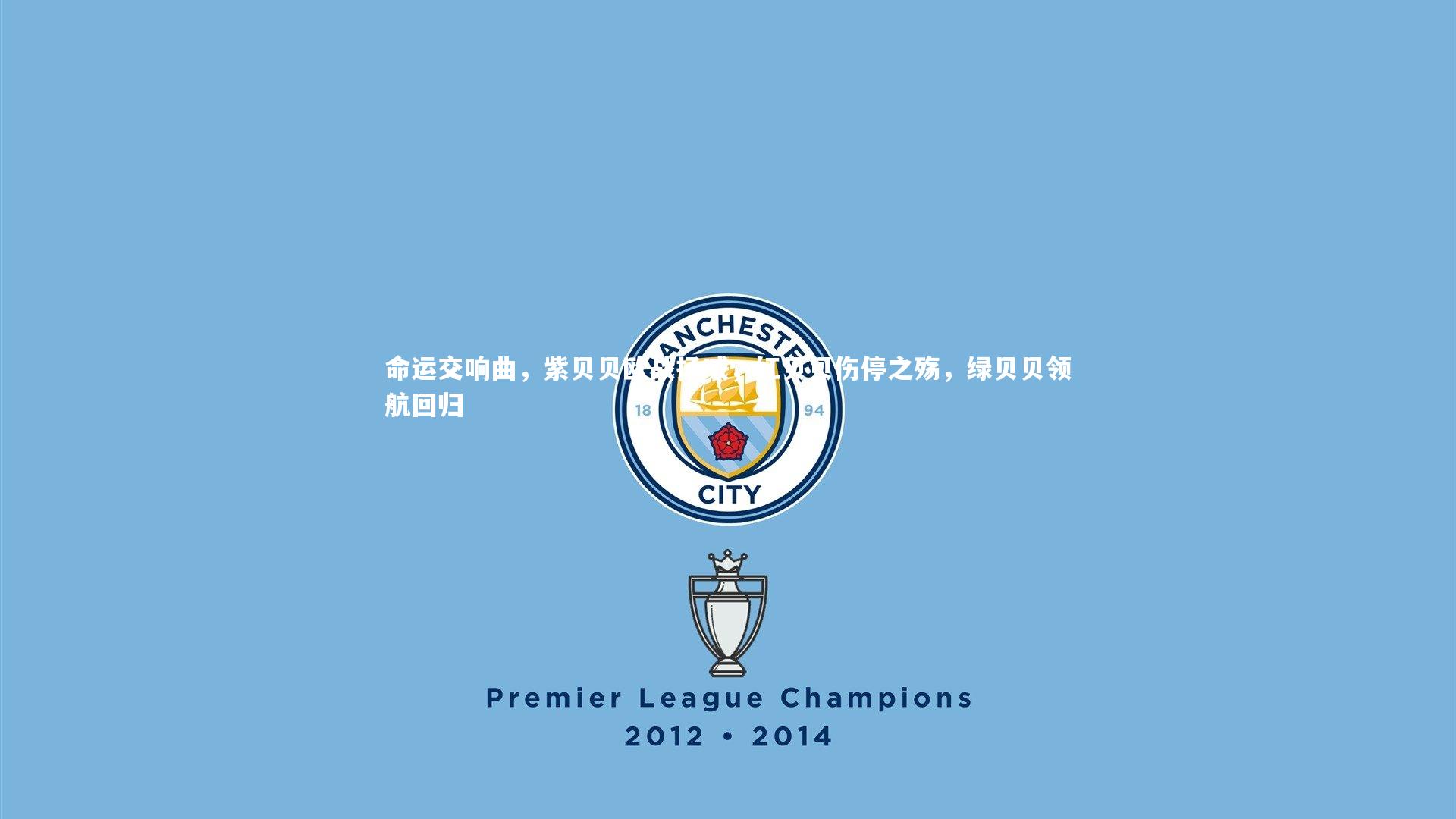 命运交响曲，紫贝贝欧战扬威，红贝贝伤停之殇，绿贝贝领航回归